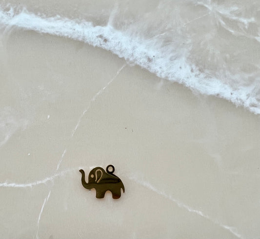 Elephant charm